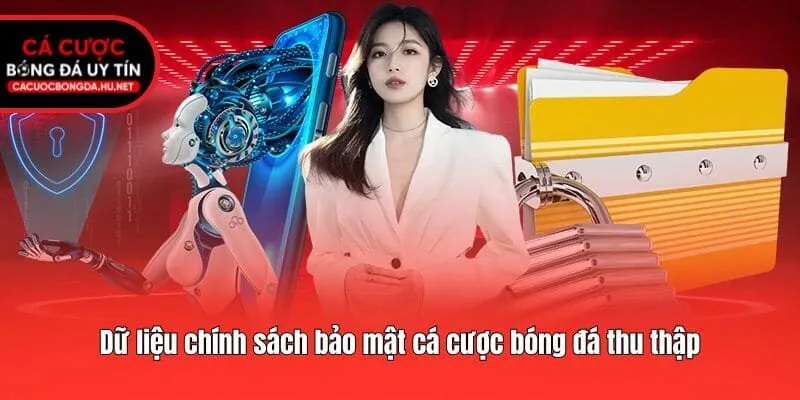 Dữ liệu chính sách bảo mật cá cược bóng đá thu thập