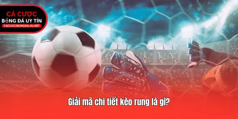 Giải mã chi tiết kèo rung là gì?