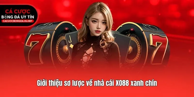Giới thiệu sơ lược về nhà cái XO88 xanh chín