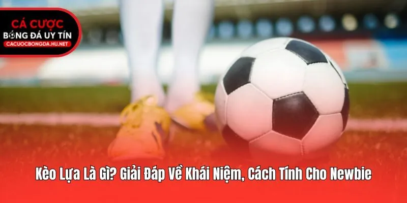 Kèo Lựa Là Gì? Giải Đáp Về Khái Niệm, Cách Tính Cho Newbie
