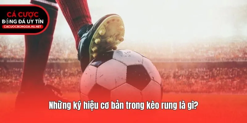 Những ký hiệu cơ bản trong kèo rung là gì?