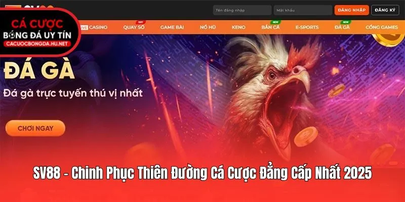SV88 - Chinh Phục Thiên Đường Cá Cược Đẳng Cấp Nhất 2025