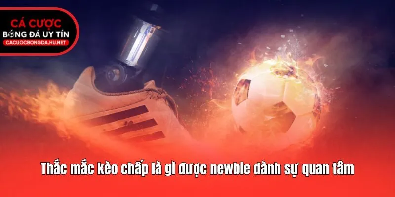 Thắc mắc kèo chấp là gì được newbie dành sự quan tâm