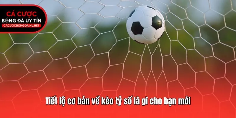 Tiết lộ cơ bản về kèo tỷ số là gì cho bạn mới