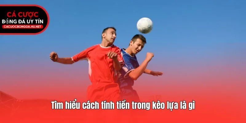 Tìm hiểu cách tính tiền trong kèo lựa là gì