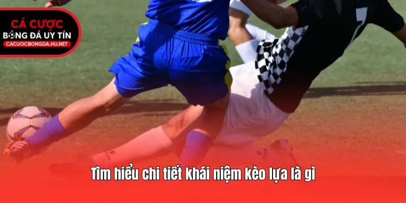 Tìm hiểu chi tiết khái niệm kèo lựa là gì