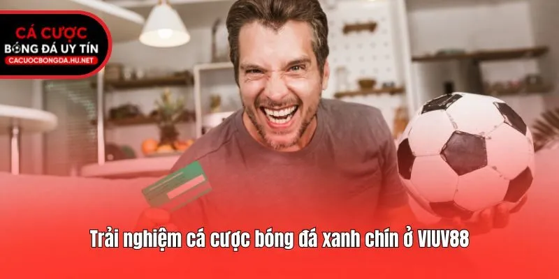 Trải nghiệm cá cược bóng đá xanh chín ở VIUV88