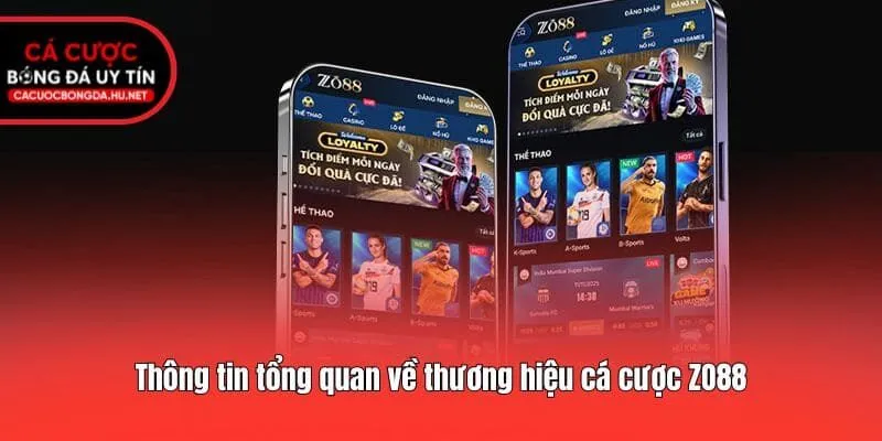 Trải nghiệm cá cược cùng ZO88 trên đa nền tảng