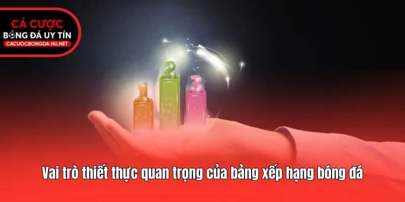 Vai trò thiết thực quan trọng của bảng xếp hạng bóng đá